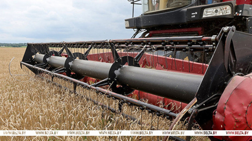 Фото из архива