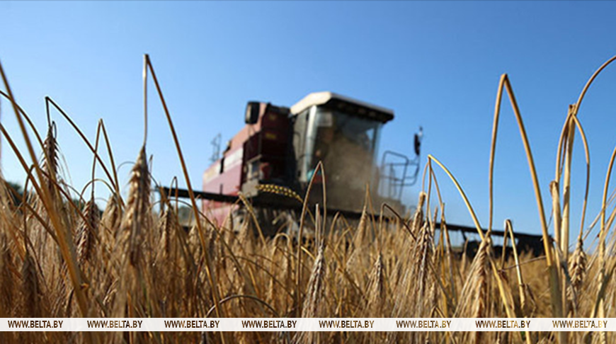 Фото из архива