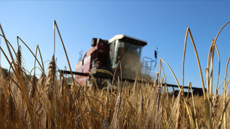 Фото из архива