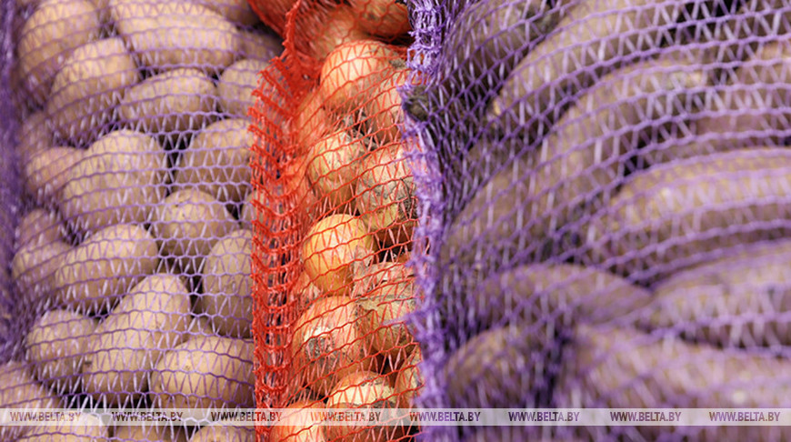 Фото из архива