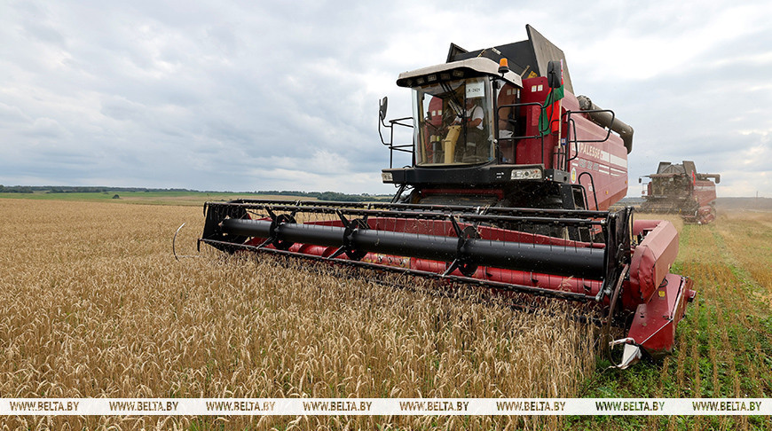 Фото из архива