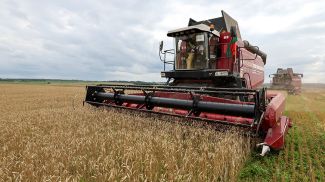 Фото из архива