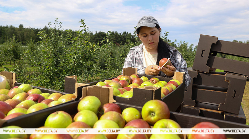 Фото из архива