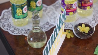 Фото из архива