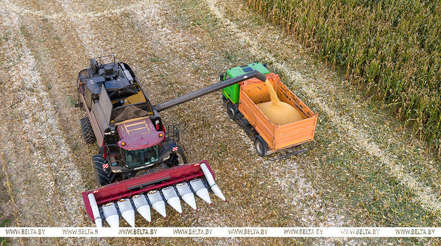 Фото из архива