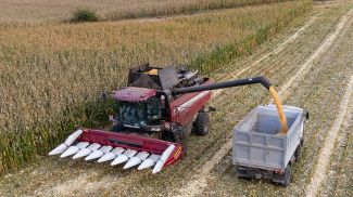 Фото из архива