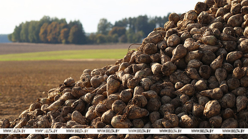 Фото из архива