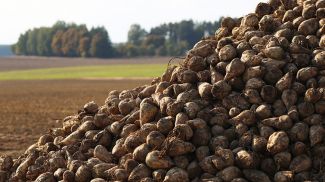 Фото из архива