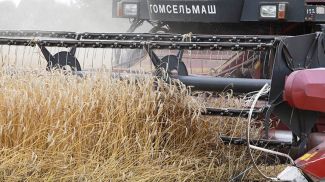 Фото из архива