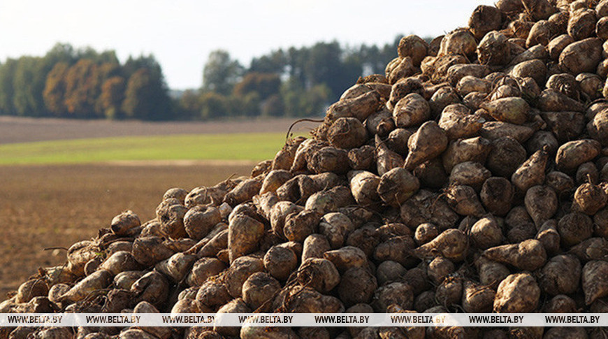 Фото из архива