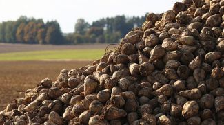 Фото из архива