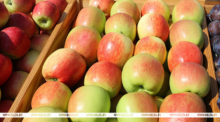 Фото из архива