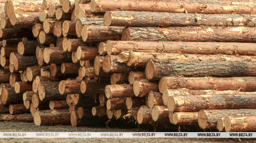 Фото из архива