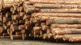 Фото из архива