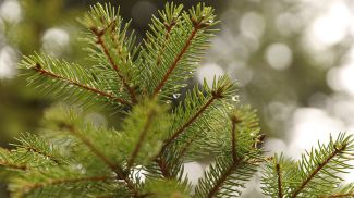 Фото из архива