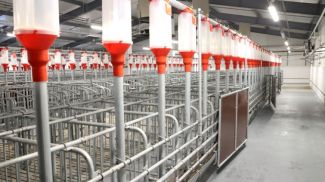 Фото из архива