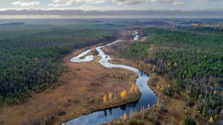 Фото Березинского биосферного заповедника