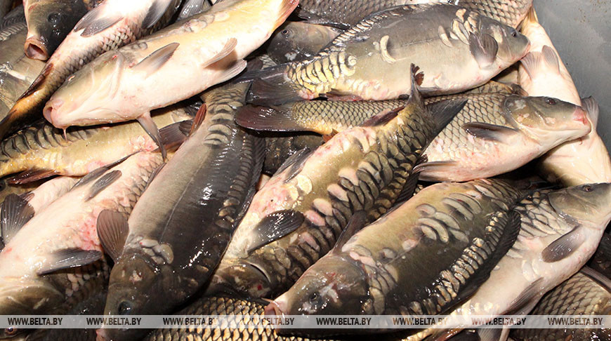 Фото из архива