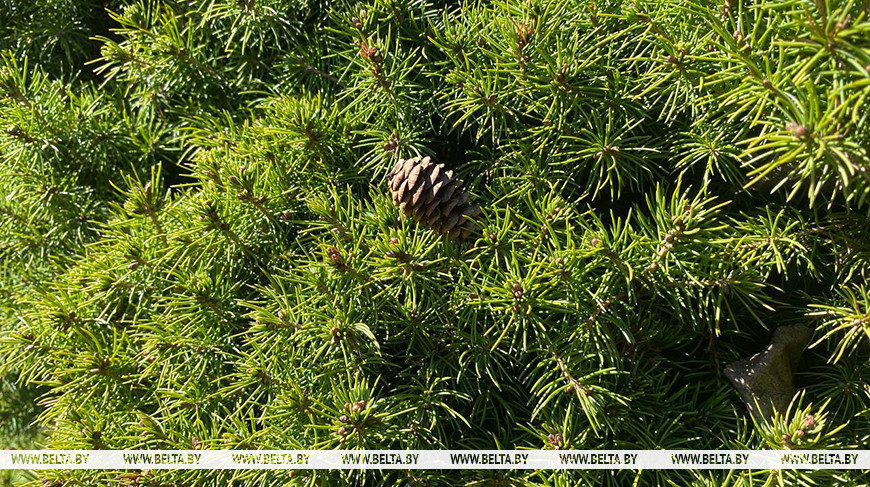 Фото из архива