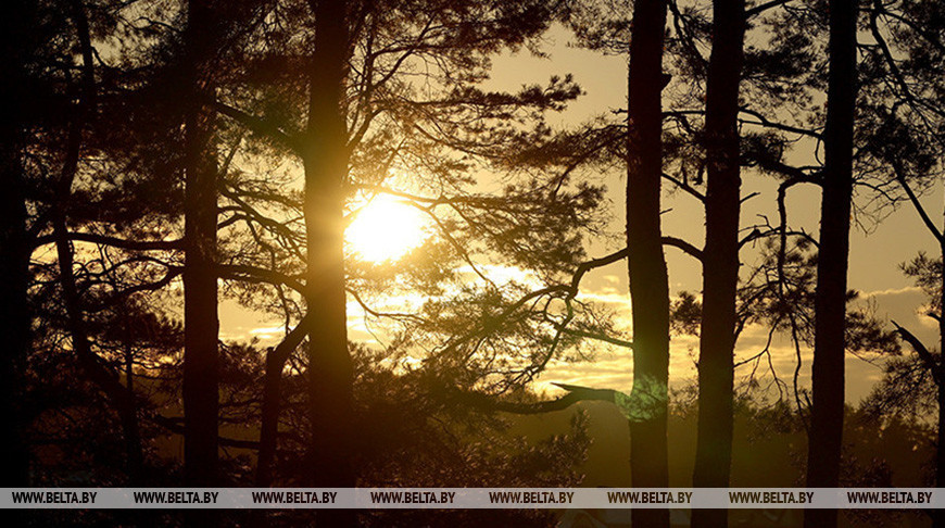 Фото из архива