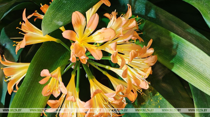 Фото из архива