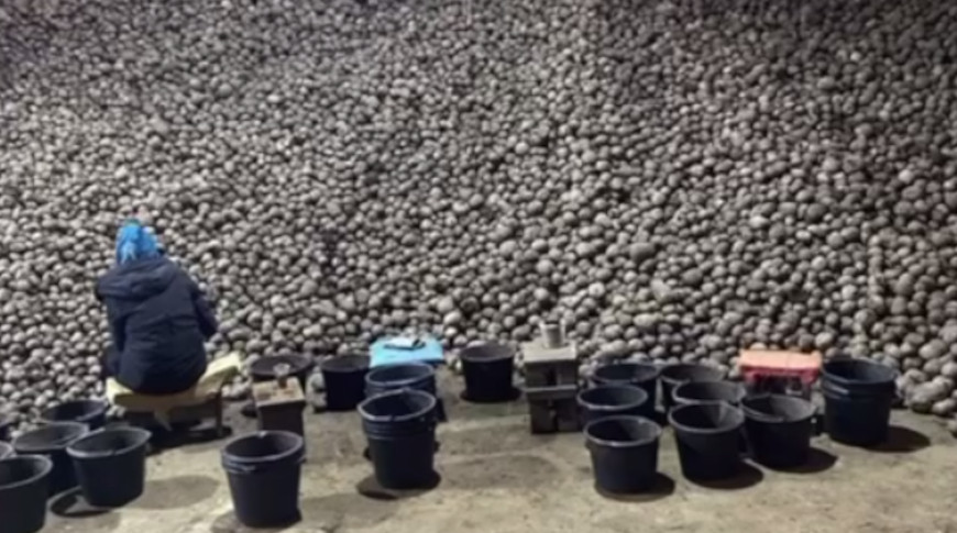 Скриншот видео МАРТ