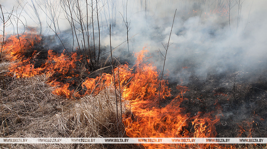 Фото из архива