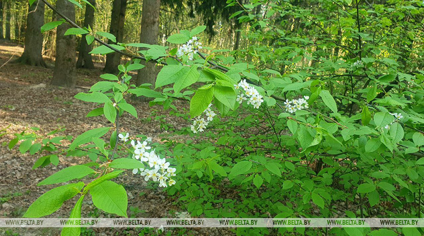 Фото из архива