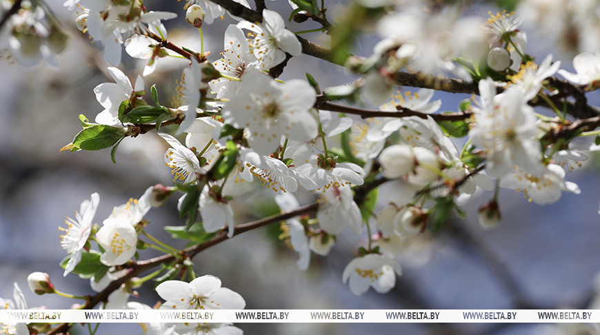 Фото из архива