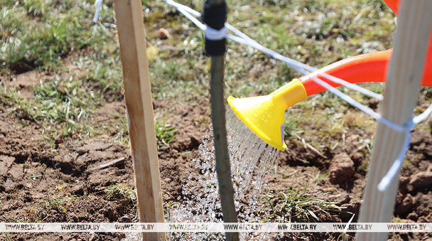 Фото из архива