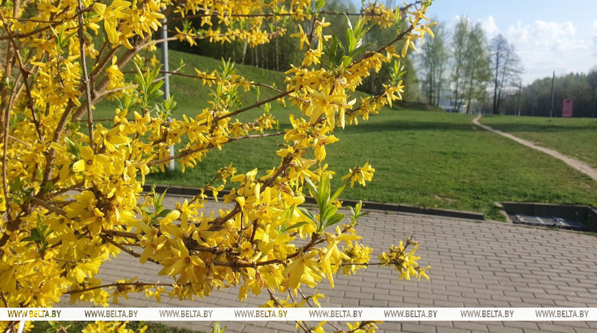 Фото из архива