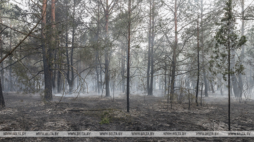 Фото из архива