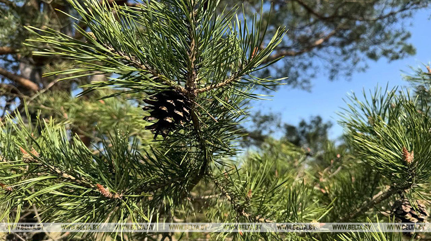 Фото из архива