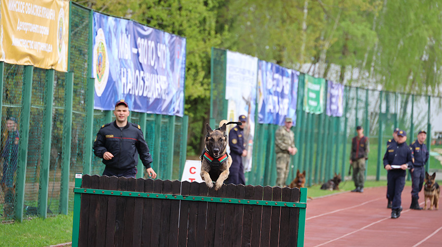 Фото Департамента охраны МВД
