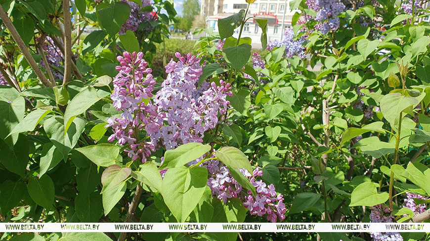 Фото из архива