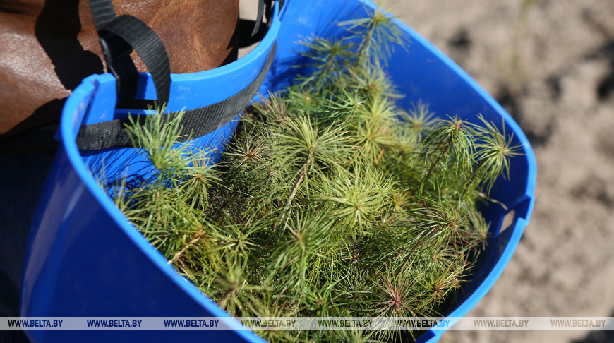 Фото из архива