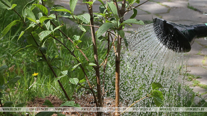 Фото из архива