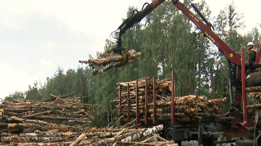 Скриншот видео телеканала "Беларусь 1"