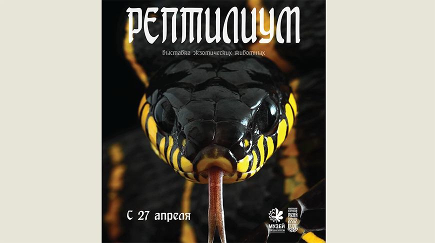 Фото организаторов мероприятия