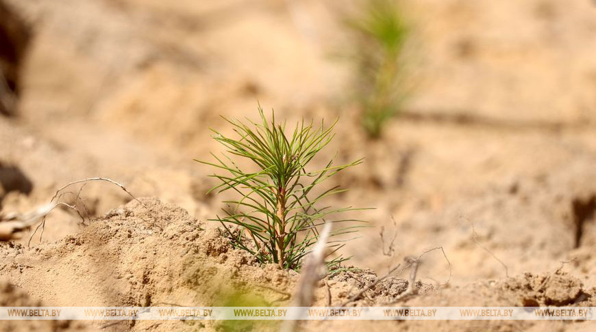 Фото из архива