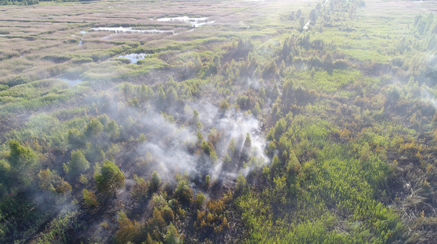 Фото Министерства лесного хозяйства