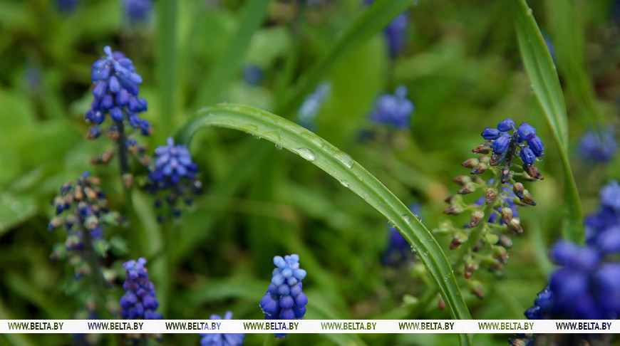 Фото из архива