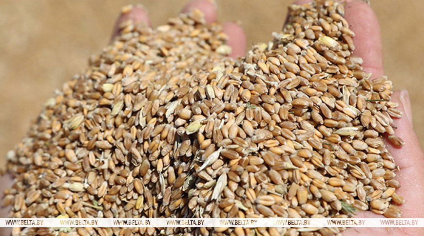 Фото из архива