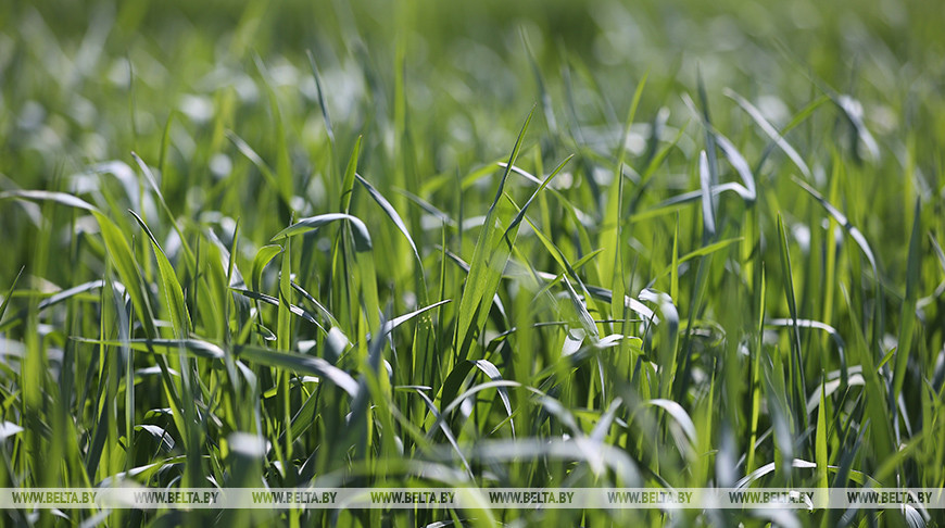 Фото из архива