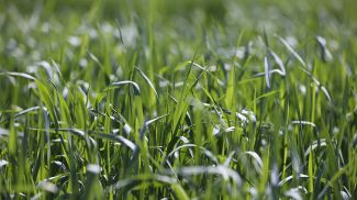 Фото из архива