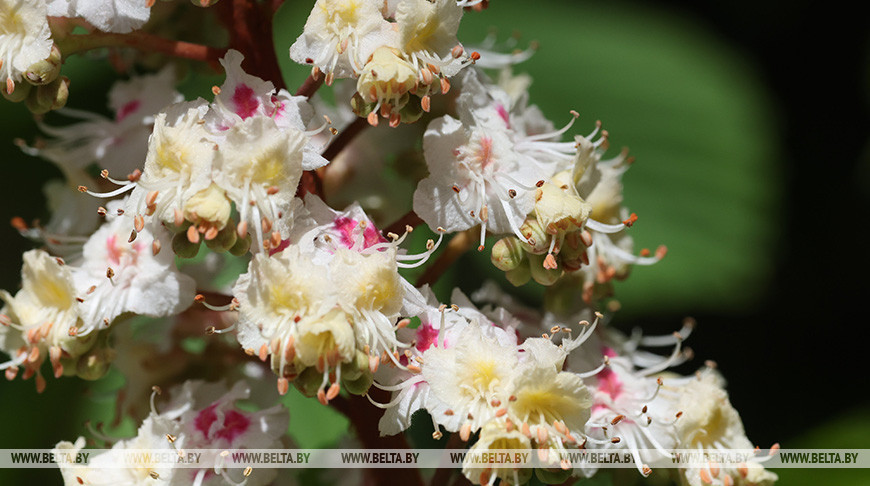 Фото из архива