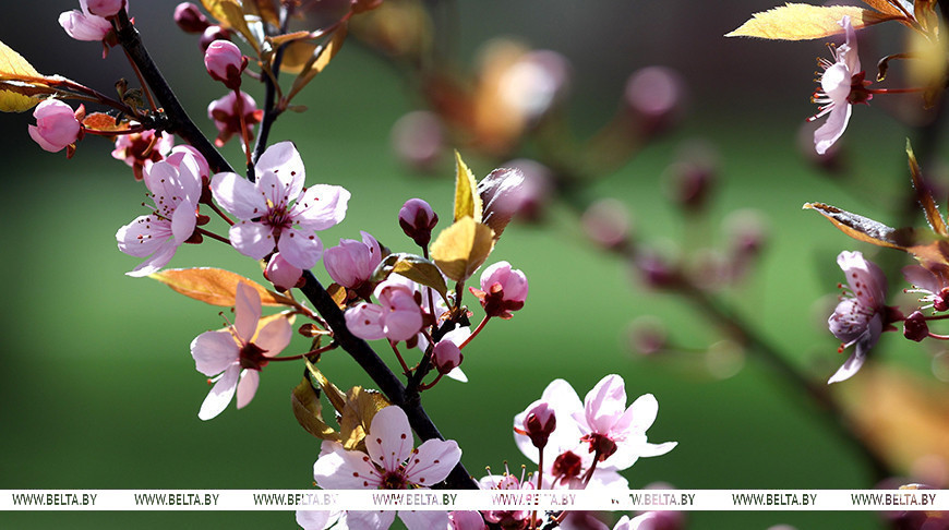 Фото из архива