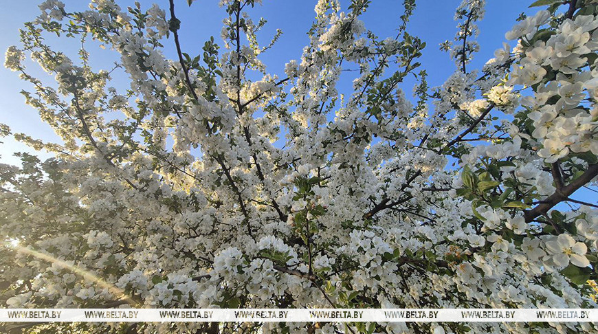 Фото из архива