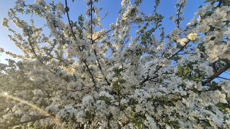 Фото из архива