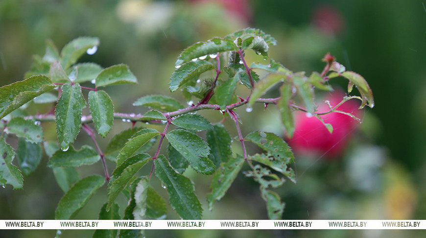 Фото из архива